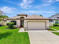 Charming single-story home with a well-manicured lawn and a two-car garage in a desirable neighborhood at 19974 Bluebird Meadow Dr, Lutz, FL 33558