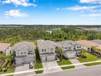 An aerial view shows houses with well-manicured lawns in a peaceful community near a scenic pond at 32490 Tree Of Life Ave, Wesley Chapel, FL 33543