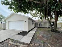 Charming home with a clean exterior, a two-car garage, and a neatly maintained front yard at 1003 Cornwall Ct, Brandon, FL 33510