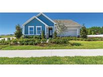 Charming single Gathering home with well manicured landscaping and lovely blue accents at 11313 Hardwood Hammock Ln, Riverview, FL 33569
