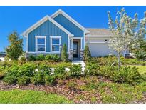 Charming blue two-story home with a lush landscaped front yard and a welcoming entrance at 11313 Hardwood Hammock Ln, Riverview, FL 33569