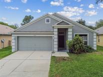 Charming single-story home with a well-maintained lawn and attached two-car garage at 15709 Leatherleaf Ln, Land O Lakes, FL 34638