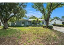 Charming single-story home featuring lush landscaping and mature trees in a well-maintained front yard at 919 Alpine Dr, Brandon, FL 33510