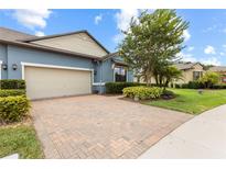 Charming single-Gathering home boasts a brick driveway, two-car garage, and lush landscaping at 16898 Balance Cv, Land O Lakes, FL 34638