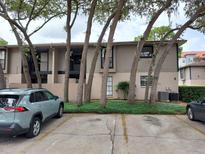 Two-story condo complex featuring beige siding and black trim, framed by mature trees and green ground cover at 4111 Ashford Green Pl # B203, Tampa, FL 33613
