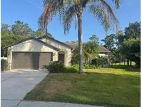 Charming single-story home with a well-manicured lawn and mature palm tree in a desirable neighborhood at 16106 Worlington Pl, Odessa, FL 33556
