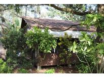 Charming cabin exterior featuring a brown facade surrounded by lush greenery and mature trees at 260 Orange St, Palm Harbor, FL 34683
