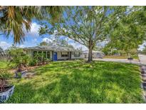 Charming single-story home with a lush green lawn and mature trees creating a welcoming curb appeal at 4619 W Bay Villa Ave, Tampa, FL 33611