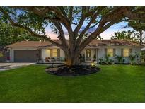Charming single-story home with lush green lawn and mature shade tree in a desirable neighborhood at 7210 S Sparkman St, Tampa, FL 33616