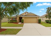 Charming single-story home with a well-manicured lawn, mature tree, and a two-car garage at 14224 Edinburgh Moor Dr, Wimauma, FL 33598