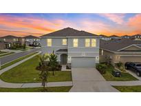 Beautiful two-story home with a well-manicured lawn and a two-car garage at sunset at 32136 Conchshell Sail St, Wesley Chapel, FL 33545