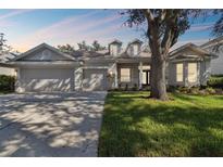 Charming single-story home features a three-car garage and well-manicured lawn at 10244 Shadow Branch Dr, Tampa, FL 33647