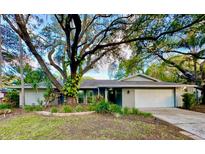 Charming single-story home with a lush lawn, mature trees, and a light gray exterior at 939 Woodland Dr, Palm Harbor, FL 34683