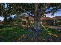Charming home with lush landscaping, mature trees, and a well-maintained lawn at 2459 Parkstream Ave, Clearwater, FL 33759
