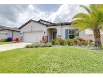 Well-maintained front yard with lush lawn, colorful landscaping, and a palm tree, enhancing the curb appeal of the home at 30762 Parrot Reef Ct, Wesley Chapel, FL 33545