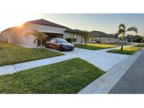 Inviting home featuring a well-manicured lawn, spacious driveway, and lush landscaping with palm trees at 16623 Carlton Pond St, Wimauma, FL 33598