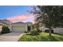 Charming home with a well-manicured lawn, mature tree and colorful landscaping at 4020 Cottage Hill Ave, Parrish, FL 34219