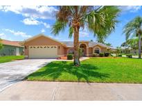 Charming single-story home featuring a two-car garage, manicured lawn, and mature palm trees at 10228 Yellow Pine Way, Hudson, FL 34667