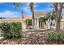 Charming single-story home with manicured landscaping and inviting front entrance with white columns and an American flag at 10734 Banfield Dr, Riverview, FL 33579