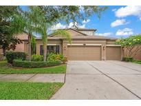 Charming home featuring a three-car garage and beautifully landscaped front yard with mature palm trees at 11603 Heron Watch Pl, Riverview, FL 33569