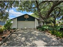 Charming home featuring a driveway and lush landscaping under a mature shady tree at 16134 Ravendale Dr, Tampa, FL 33618