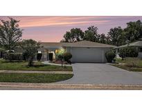 Charming single-story home featuring a well-manicured lawn, a two-car garage, and a beautifully landscaped yard at 162 Lagoon Way, Palm Harbor, FL 34684