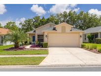 Charming single-story home with a well-maintained lawn and a two-car garage on a sunny day at 11078 Heathrow Ave, Spring Hill, FL 34609