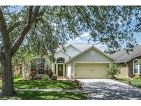 Charming single-Gathering home featuring a well-manicured lawn and mature trees providing ample shade at 12335 Glenfield Ave, Tampa, FL 33626