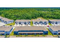 An aerial view of townhomes with garages in a neighborhood surrounded by lush greenery at 32977 Kaloko Rd, Wesley Chapel, FL 33543