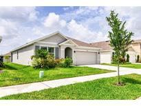 Charming single-story home with a well-kept lawn, showcasing a modern exterior with a symmetrical design at 33668 Elm Hill Branch, Wesley Chapel, FL 33545