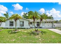 Charming single-story home featuring palm trees and a well-manicured lawn at 801 Kirkcaldy Way, Valrico, FL 33594