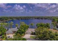 Stunning aerial view of waterfront home with mature trees and direct lake access at 15012 Maurine Cove Ln, Odessa, FL 33556