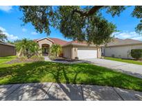 Charming single-story home featuring a well-manicured lawn, mature palm trees, and a two-car garage at 19104 Cellini Pl, Lutz, FL 33558