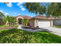 Beautiful home with lush landscaping, mature palm trees, and a two-car garage on a sunny day at 19104 Cellini Pl, Lutz, FL 33558