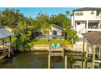 Relaxing backyard oasis with screened-in pool, lush landscaping, and private dock on the water at 593 Marmora Ave, Tampa, FL 33606
