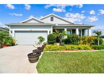 Charming single-story home with well-manicured lawn and landscaping under a clear, blue sky at 8174 Wheat Stone Dr, Zephyrhills, FL 33540