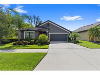 Charming single-story home with a well-manicured lawn and two-car garage at 12004 Legacy Bright St, Riverview, FL 33578