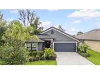 Charming single-story home featuring a well-maintained lawn and a two-car garage in a desirable neighborhood at 12004 Legacy Bright St, Riverview, FL 33578