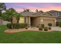 Charming home featuring a well-manicured lawn and landscaped garden beds with palm trees at 8518 Tidal Breeze Dr, Riverview, FL 33569