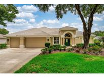 Charming home with a well-maintained lawn, a tan color scheme, and a beautiful tile roof at 9116 Woodridge Run Dr, Tampa, FL 33647