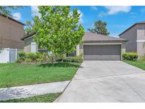 Charming single-story home with a well-maintained lawn, mature tree, and a two-car garage at 12907 Wildflower Meadow Dr, Riverview, FL 33579