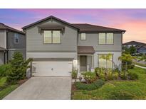 Charming two-story home with landscaped front yard and attached two-car garage at 13157 Peachleaf Ave, Riverview, FL 33579