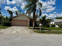 Modest single Gathering home showing a yard and driveway needing maintenance on a sunny day at 8635 Braxton Dr, Hudson, FL 34667