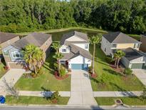 Beautiful aerial view of the residence with tropical landscaping, a pond, and surrounding homes at 1669 Ludington Ave, Wesley Chapel, FL 33543