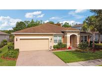 Charming single-story home with a well-manicured lawn, inviting entrance, and neutral paint scheme with a brown roof at 19418 Butterwood Ln, Lutz, FL 33558