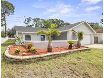 Charming home featuring a manicured front yard with a stone retaining wall and vibrant tropical plants at 8499 101St Ave, Seminole, FL 33777