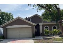 Charming home featuring a two-car garage, arched windows, and meticulous landscaping at 904 Grand Canyon Dr, Valrico, FL 33594