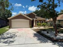 Charming single-Gathering home featuring a well-maintained lawn and a two-car garage at 904 Grand Canyon Dr, Valrico, FL 33594