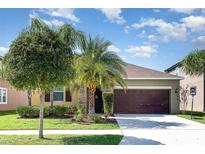 Inviting home with well-maintained landscaping, mature trees, and a two-car garage at 11711 Winterset Cove Dr, Riverview, FL 33579