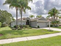 Beautiful single-story home with lush landscaping and a spacious driveway at 1338 Winding Willow Dr, Trinity, FL 34655